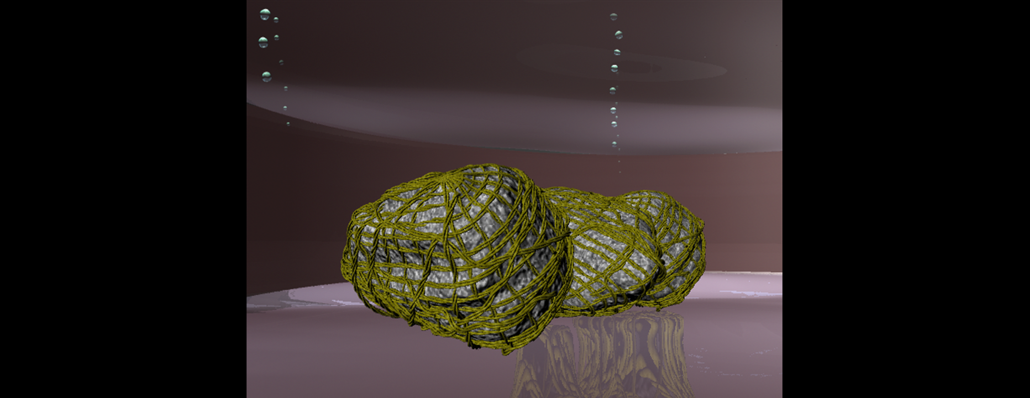 Primo scatto di una animazione 3D: granuli bio-ricoperti piastrati per esperimenti di coltura in vitro