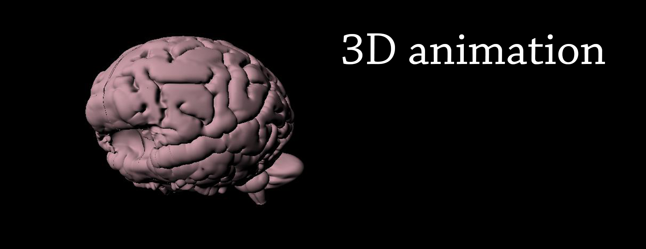 Cervello: scatto iniziale di un'animazione 3D per localizzare il nucleo reticolare talamico