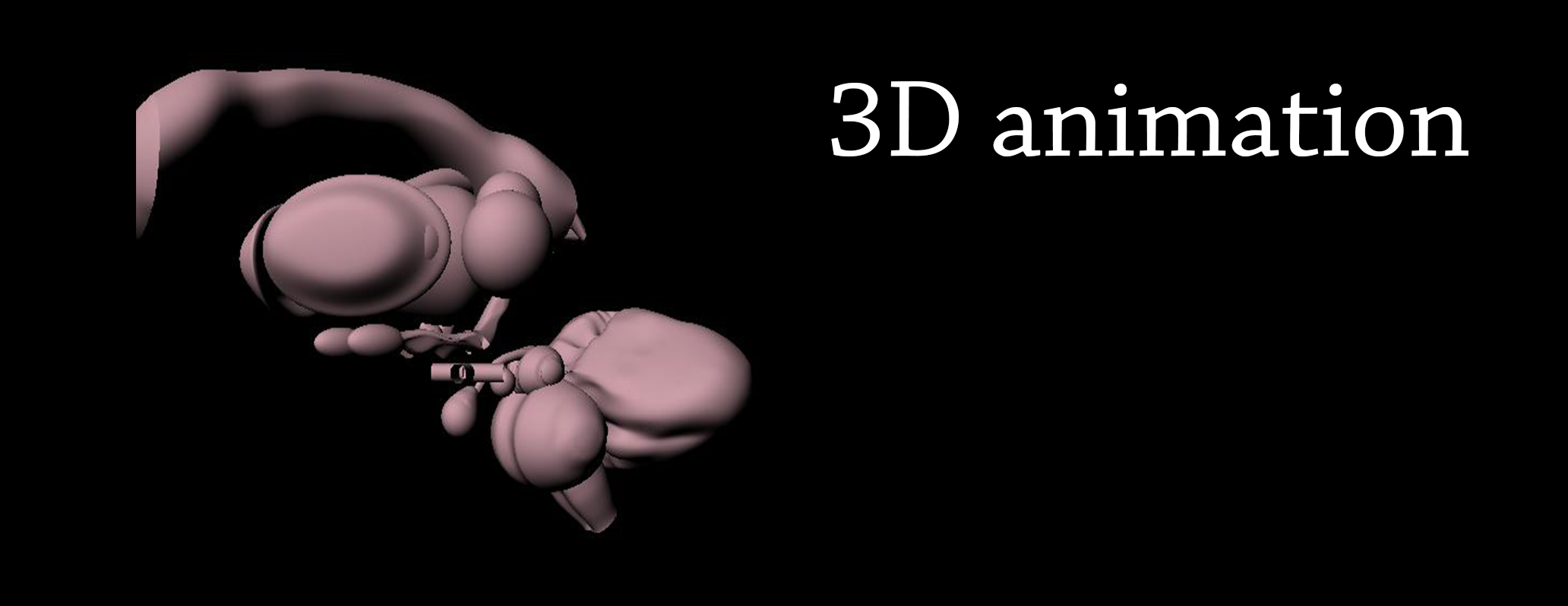Cervello: secondo capitolo di un'animazione 3D per localizzare il nucleo reticolare talamico